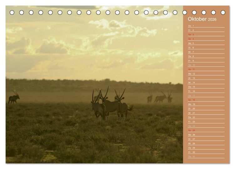 Produktbild: Afrika - Faszinierende Tierwelt (Tischkalender 2026 DIN A5 quer), CALVENDO Monatskalender