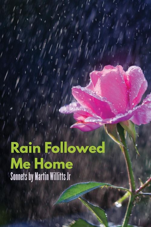 Produktbild: Rain Followed Me Home