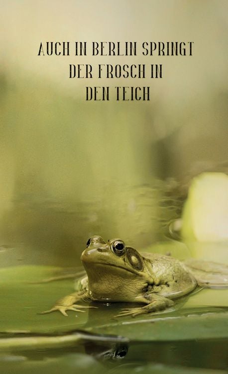 Produktbild: Auch in Berlin springt der Frosch in den Teich