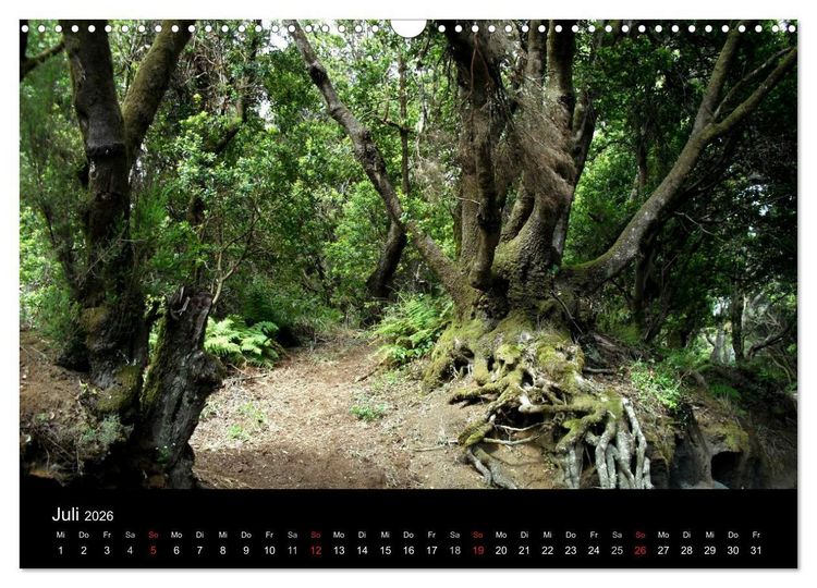 Produktbild: Insel El Hierro - Perle der Kanaren (Wandkalender 2026 DIN A3 quer), CALVENDO Monatskalender