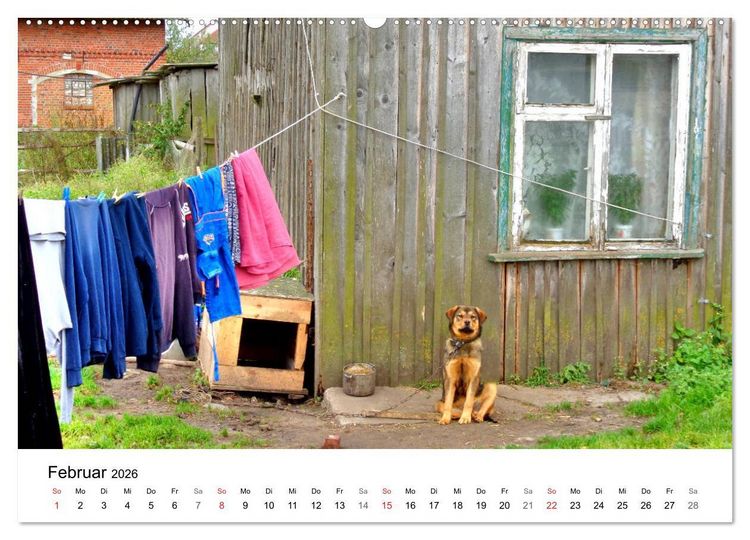 Produktbild: Elchniederung - Naturparadies in Ostpreu&szlig;en (hochwertiger Premium Wandkalender 2026 DIN A2 quer), Kunstdruck in Hochglanz