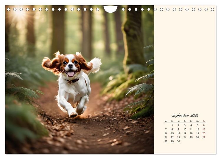 Produktbild: Goldige Kavalier King Charles Spaniels (Wandkalender 2026 DIN A4 quer), CALVENDO Monatskalender