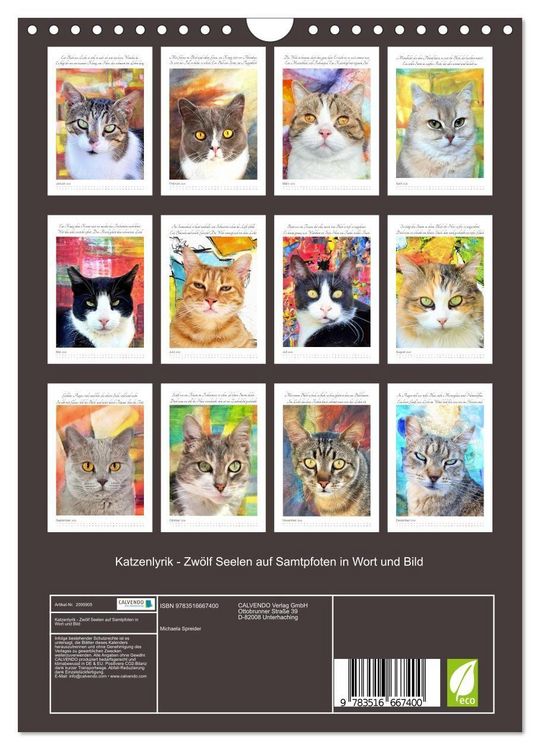 Produktbild: Katzenlyrik - Zw&ouml;lf Seelen auf Samtpfoten in Wort und Bild (Wandkalender 2026 DIN A4 hoch), CALVENDO Monatskalender
