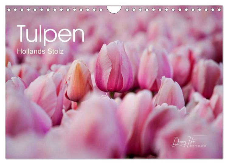 Produktbild: Tulpen - Hollands Stolz (Wandkalender 2027 DIN A4 quer), CALVENDO Monatskalender
