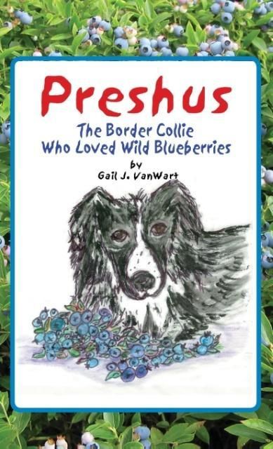 Produktbild: Preshus