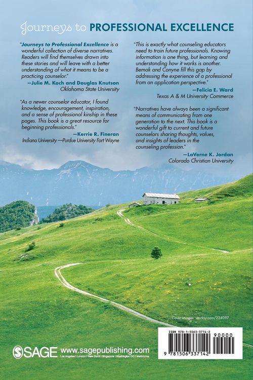 Produktbild: Journeys to Professional Excellence