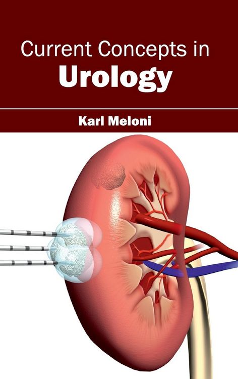 Produktbild: Current Concepts in Urology