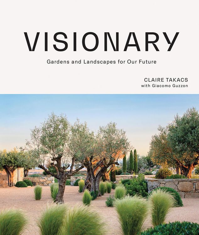 Produktbild: Visionary