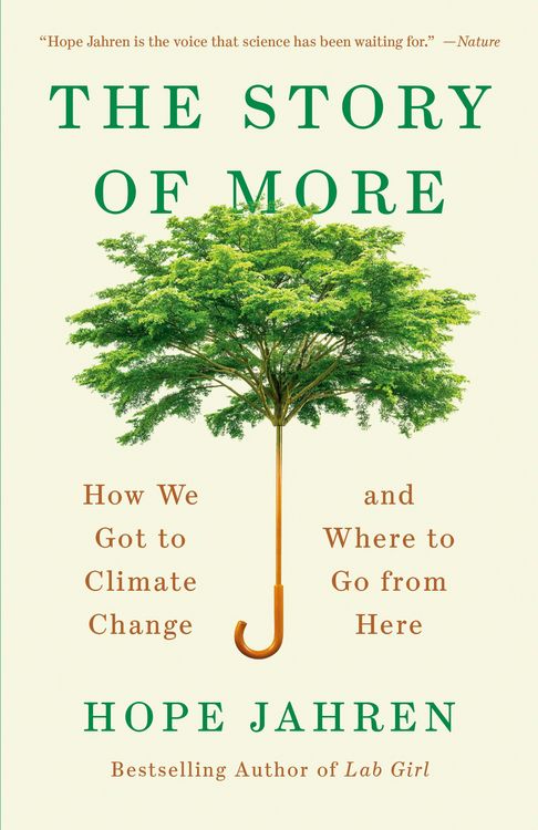 Produktbild: The Story of More