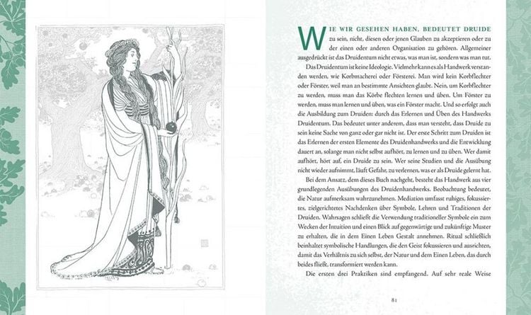 Produktbild: Druiden