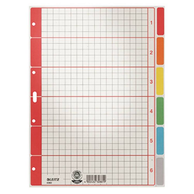 Produktbild: Leitz 4350 Register DIN A4 blanko Karton Grau 6 Registerbl&auml;tter 43500085