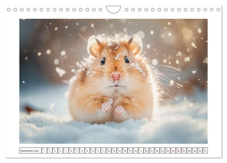 Produktbild: Lustige Hamster (Wandkalender 2026 DIN A4 quer), CALVENDO Monatskalender