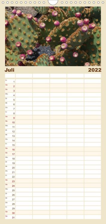 Produktbild: Familienplaner Faszination Kakteen (Wandkalender 2022 , 21 cm x 45 cm, hoch)