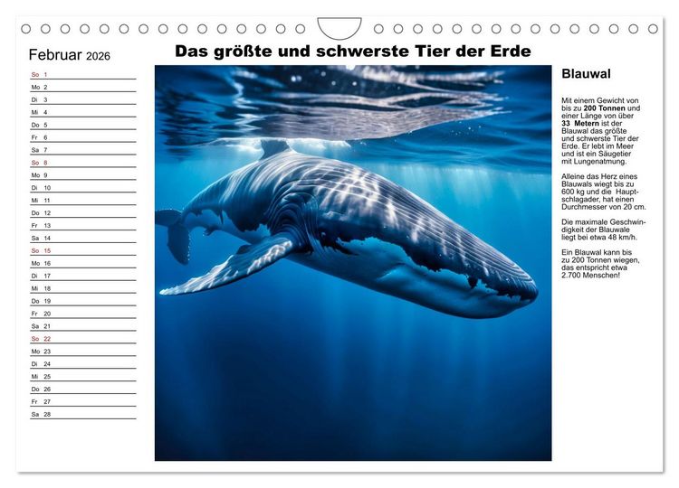 Produktbild: Tierische Rekorde (Wandkalender 2026 DIN A4 quer), CALVENDO Monatskalender