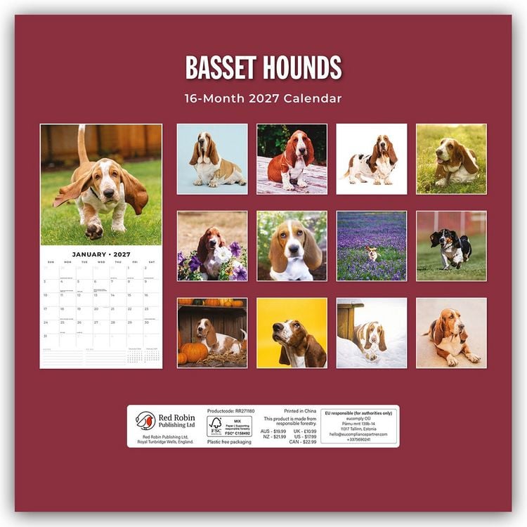 Produktbild: Basset Hounds &ndash; Basset Hound 2027 &ndash; 16-Monatskalender