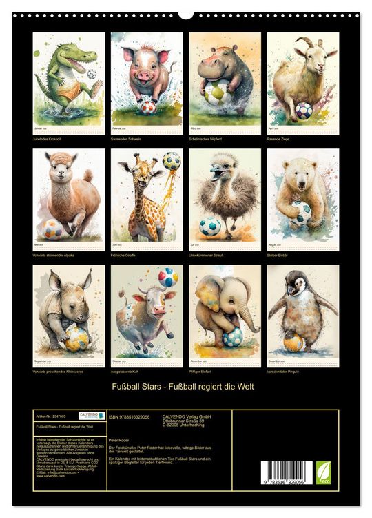 Produktbild: Fu&szlig;ball Stars - Fu&szlig;ball regiert die Welt (hochwertiger Premium Wandkalender 2026 DIN A2 hoch), Kunstdruck in Hochglanz