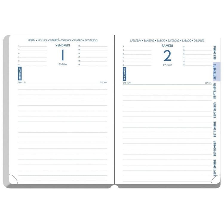 Produktbild: Sch&uuml;lerkalender Forum Office Winner 2026 / 2027