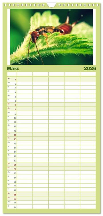 Produktbild: Familienplaner 2026 - Makrowelten Tierreich mit 5 Spalten (Wandkalender, 21 x 45 cm) CALVENDO