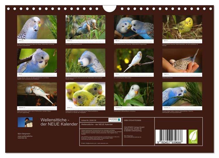 Produktbild: Wellensittiche - der NEUE Kalender (Wandkalender 2026 DIN A4 quer), CALVENDO Monatskalender