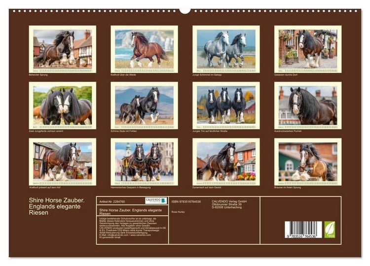 Produktbild: Shire Horse Zauber. Englands elegante Riesen (hochwertiger Premium Wandkalender 2027 DIN A2 quer), Kunstdruck in Hochglanz