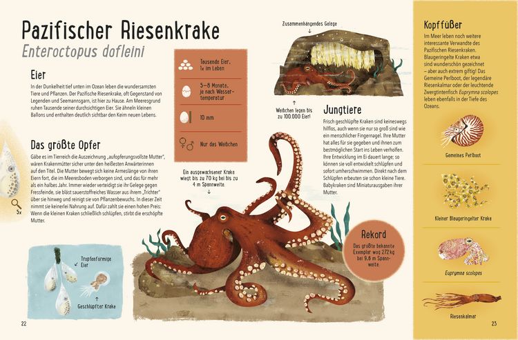 Produktbild: Frisch geschl&uuml;pft! - Tiere und ihre Eier