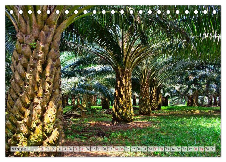 Produktbild: S&atilde;o Tom&eacute; - Inselparadies am &Auml;quator (Tischkalender 2026 DIN A5 quer), CALVENDO Monatskalender