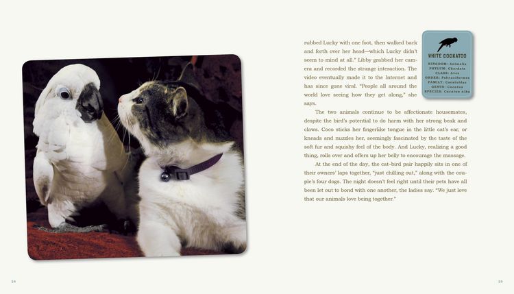 Produktbild: Unlikely Friendships