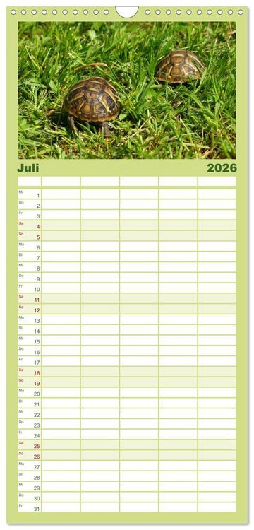 Produktbild: Familienplaner 2026 - Das Leben der Schildkr&ouml;ten mit 5 Spalten (Wandkalender, 21 x 45 cm) CALVENDO