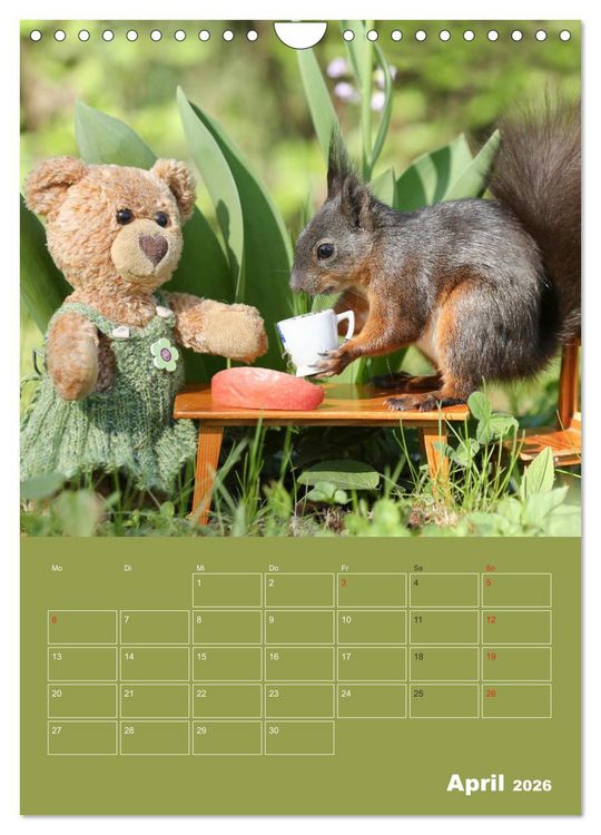 Produktbild: Eichh&ouml;rnchen - Abenteuer mit Freund Teddy (Wandkalender 2026 DIN A4 hoch), CALVENDO Monatskalender