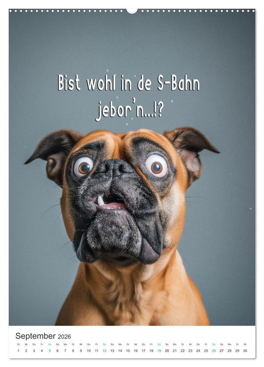Produktbild: Lustige Tiere (hochwertiger Premium Wandkalender 2026 DIN A2 hoch), Kunstdruck in Hochglanz
