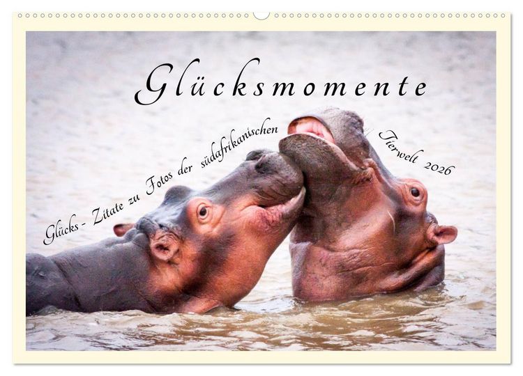 Produktbild: Gl&uuml;cksmomente Gl&uuml;cks-Zitate zu Fotos der gro&szlig;artigen s&uuml;dafrikanischen Tierwelt (Wandkalender 2026 DIN A2 quer), CALVENDO Monatskalender