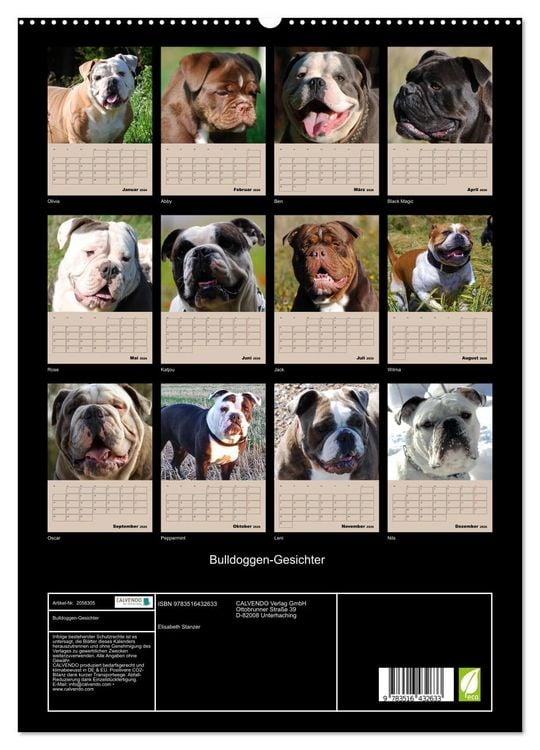 Produktbild: Bulldoggen-Gesichter (hochwertiger Premium Wandkalender 2026 DIN A2 hoch), Kunstdruck in Hochglanz