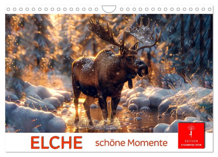 Produktbild: Elche - sch&ouml;ne Momente (Wandkalender 2026 DIN A4 quer), CALVENDO Monatskalender