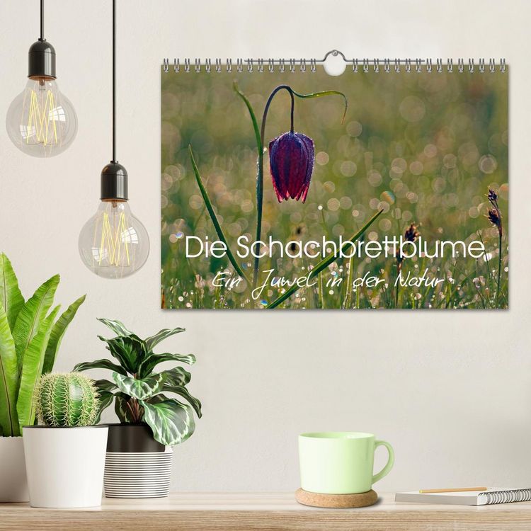 Produktbild: Die Schachbrettblume (Wandkalender 2026 DIN A4 quer), CALVENDO Monatskalender
