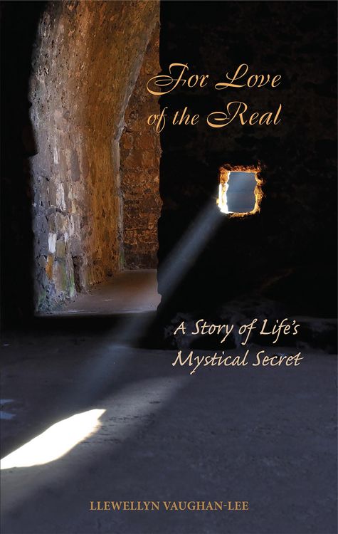Produktbild: For Love of the Real : A Story of Life's Mystical Secret