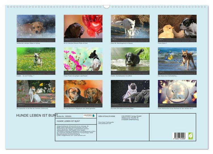 Produktbild: HUNDE LEBEN IST BUNT (Wandkalender 2026 DIN A2 quer), CALVENDO Monatskalender