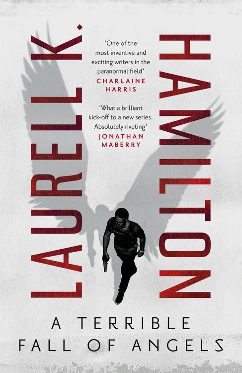Produktbild: A Terrible Fall of Angels