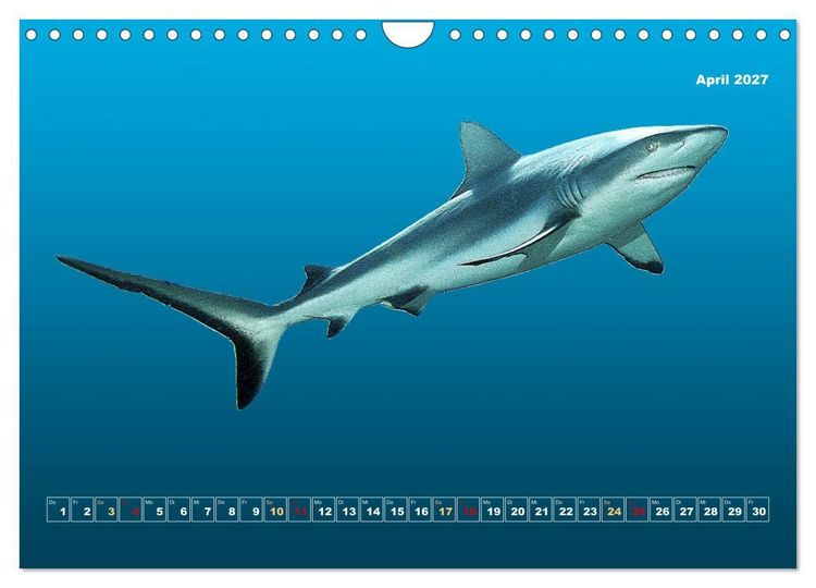 Produktbild: Unterwasser-Galerie (Wandkalender 2027 DIN A4 quer), CALVENDO Monatskalender