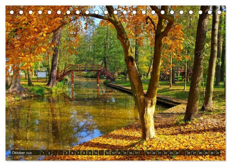 Produktbild: Spreewald - Malerische Kulturlandschaft in Brandenburg (Tischkalender 2026 DIN A5 quer), CALVENDO Monatskalender