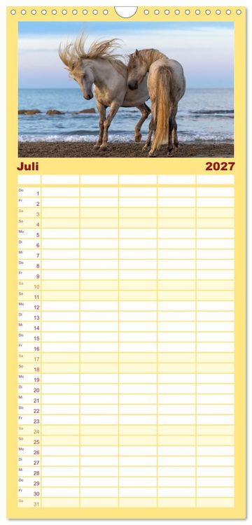 Produktbild: Familienplaner 2027 - Die wei&szlig;en Pferde der Camargue mit 5 Spalten (Wandkalender, 21 x 45 cm) CALVENDO