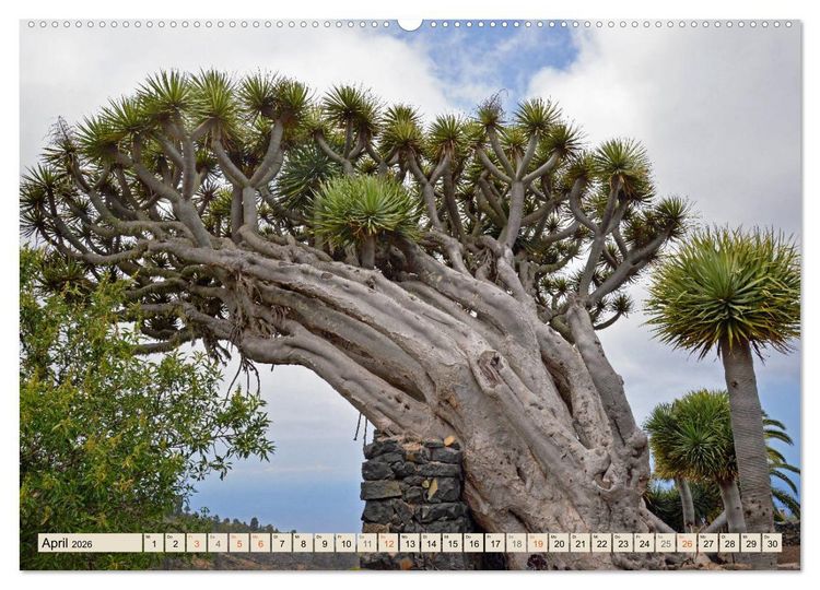 Produktbild: Magic Moments - LA PALMA (hochwertiger Premium Wandkalender 2026 DIN A2 quer), Kunstdruck in Hochglanz