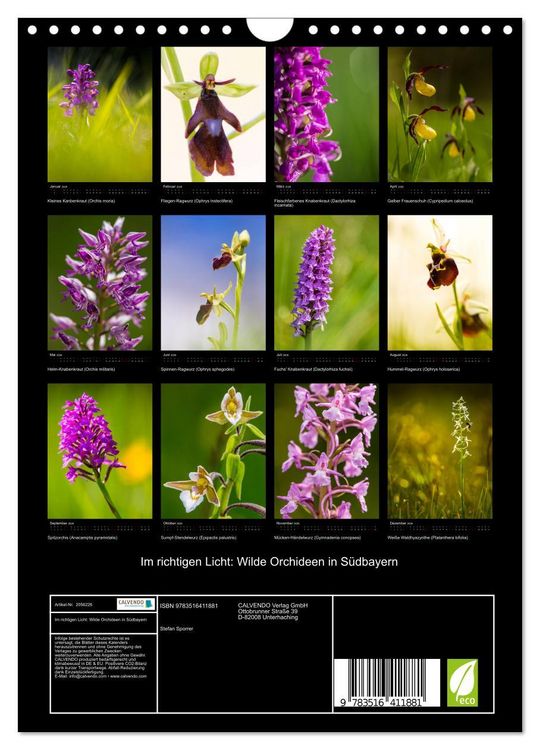 Produktbild: Im richtigen Licht: Wilde Orchideen in S&uuml;dbayern (Wandkalender 2026 DIN A4 hoch), CALVENDO Monatskalender