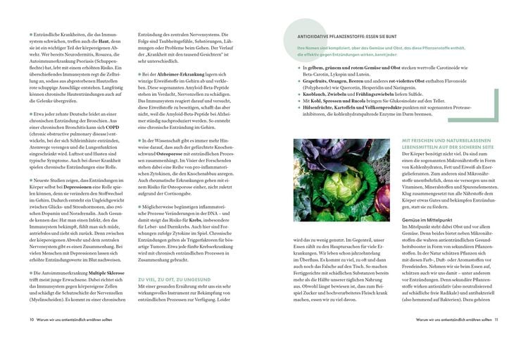 Produktbild: Die Ern&auml;hrungs-Docs &ndash; Unsere 100 besten antientz&uuml;ndlichen Rezepte