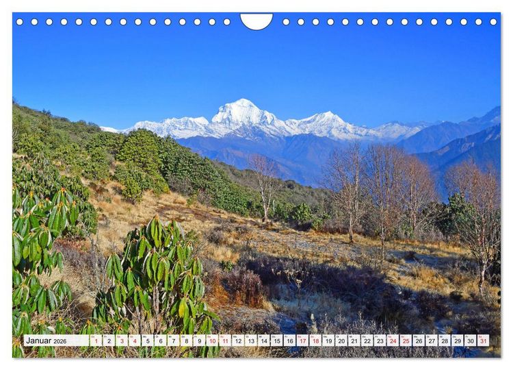 Produktbild: Der POON HILL TREK in NEPAL (Wandkalender 2026 DIN A4 quer), CALVENDO Monatskalender