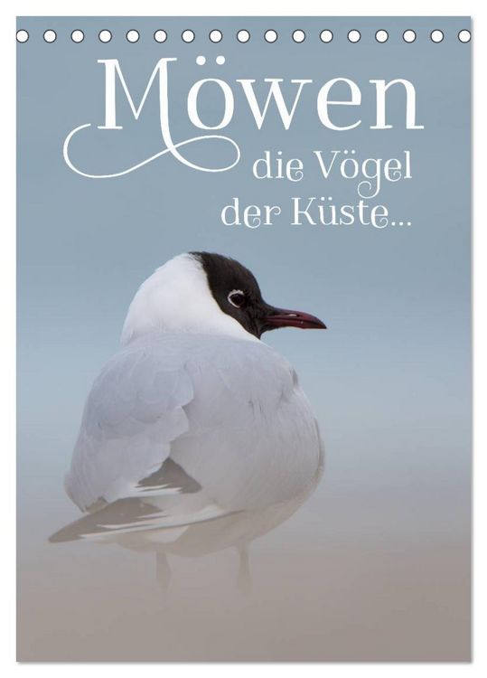 Produktbild: M&ouml;wen - die V&ouml;gel der K&uuml;ste (Tischkalender 2026 DIN A5 hoch), CALVENDO Monatskalender