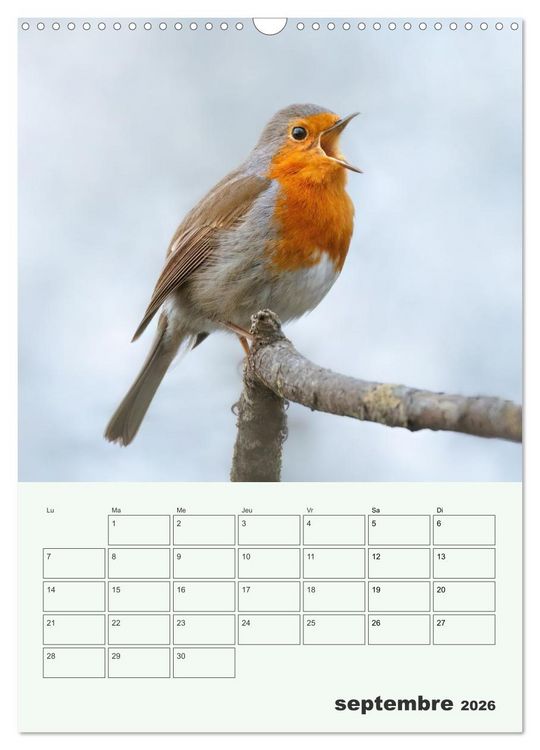 Produktbild: Voyage ornithologique (Calendrier mural 2026 DIN A3 horizontal), CALVENDO calendrier mensuel