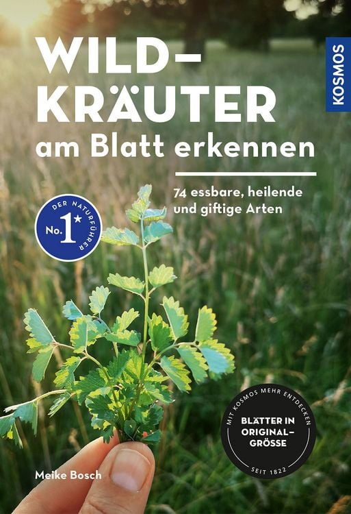 Produktbild: Wildkr&auml;uter am Blatt erkennen