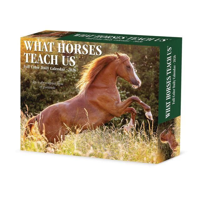 Produktbild: What Horses Teach Us 2026 Box Calendar