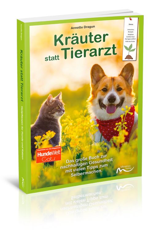 Produktbild: Kr&auml;uter statt Tierarzt