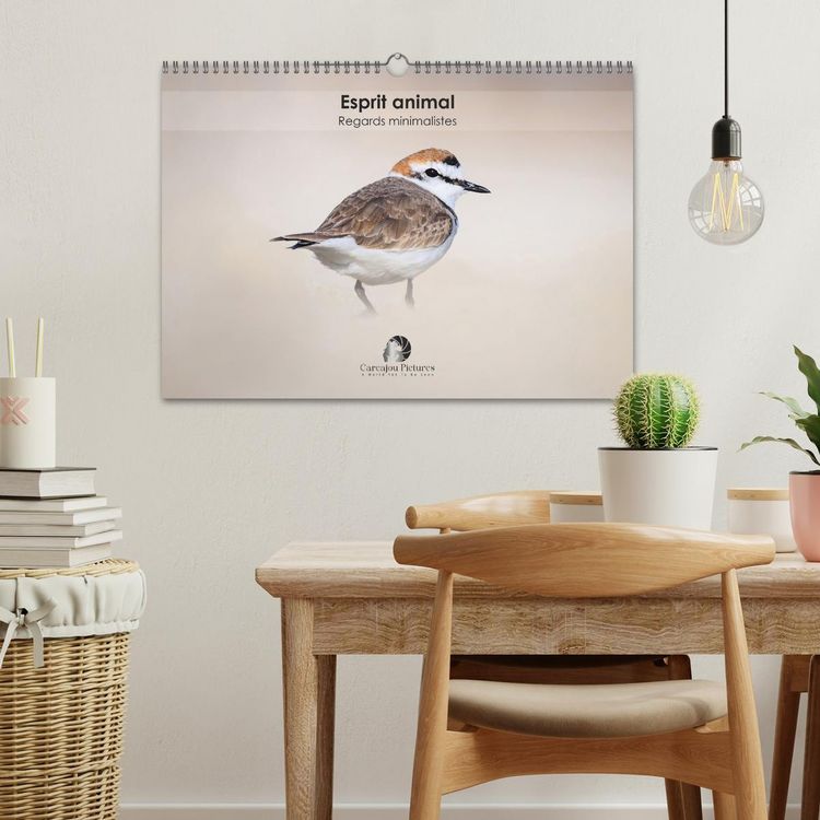 Produktbild: Esprit animal - Regards minimalistes (Calendrier mural 2026 DIN A3 vertical), CALVENDO calendrier mensuel